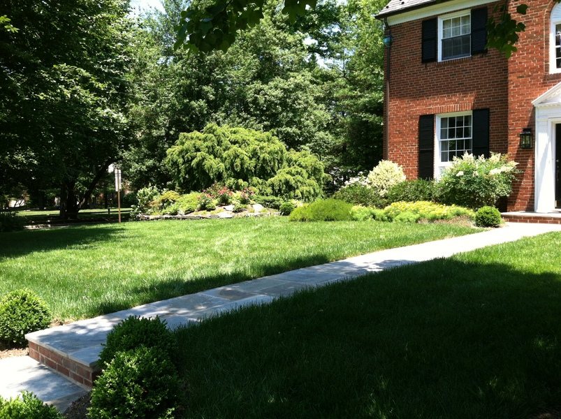 New Front Path in Chevy Chase