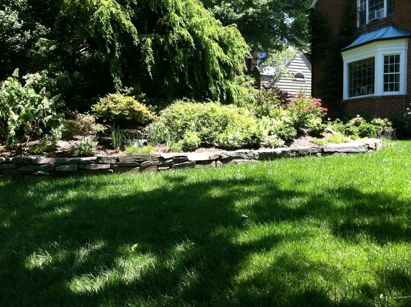 New Stone Garden Wall in Chevy Chase