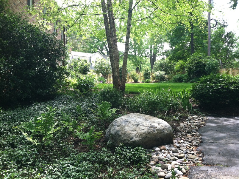 Rain Garden, Boulders, and River Jack stones to control erosion - After