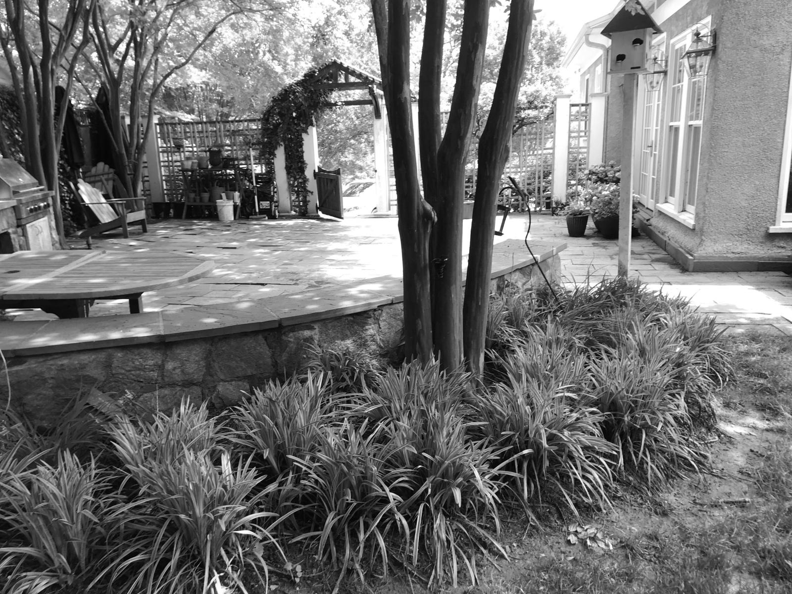 Before: This tired garden needed rejuvenation. The seat wall made the patio too small for both dining and lounging areas.